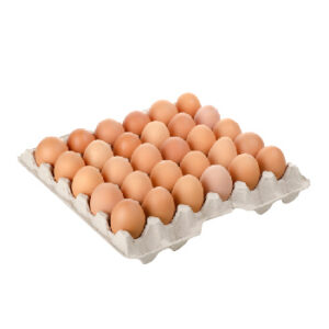 Huevos